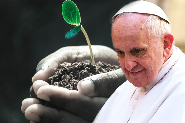 Pope Francis Environment