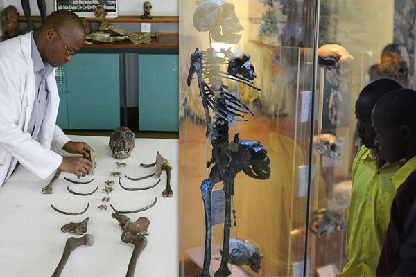 Kenya Ancient Skeletons
