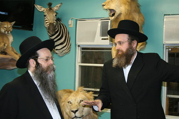 Torah Animal World Interior