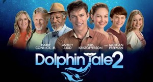 Dolphin Tale 2 Graphic