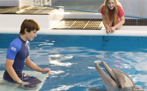 Dolphin Tale 2’s Strong Opening Due to Christian Values