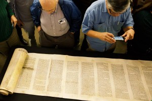 Veritas Torah Scroll