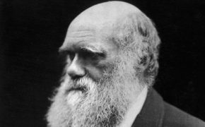 Creationists are Trying to Push Forward a Regressive Agenda on Darwin Day
