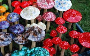 How Psychedelics and Other Drugs Are Used in Religious Rituals