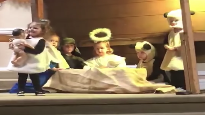 Mary Fights Sheep Over Jesus in Nativity Play