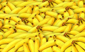 Does A Banana Prove God’s Existence?