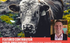Prop 12: A sliver of freedom for factory-farmed animals