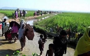 61 Rohingya Muslims Arrested in India