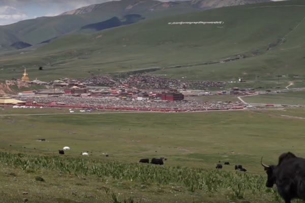 Chinese Authorities Have Begun Large-Scale Demolition at Tibetan Buddhist Yarchen Gar