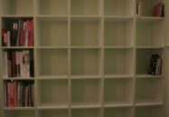 Bestselling Authors, Parents, PEN and Penguin Random House Sue Florida County Over Removal of Over 1,600 Books
