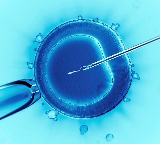 In Vitro Fertilization. By US Government Owned Photo - https://www.cdc.gov/art/key-findings/icsi.html, Public Domain, https://commons.wikimedia.org/w/index.php?curid=126317495