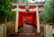 The Gifts of Shintoism