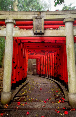 Gate Shinto Shrine At Yashima Ji Kagawa Japan