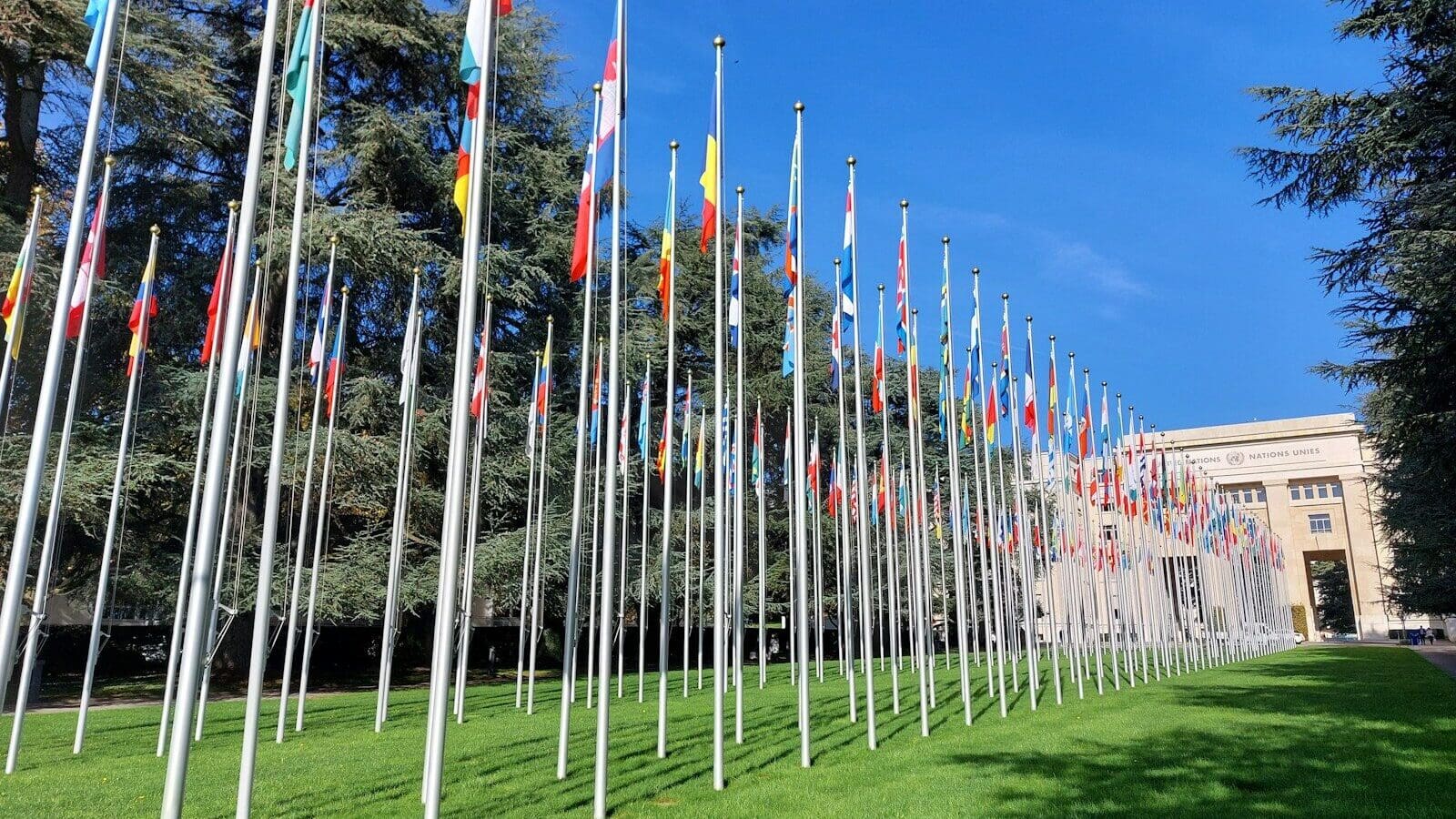 a row of flags in front of a building